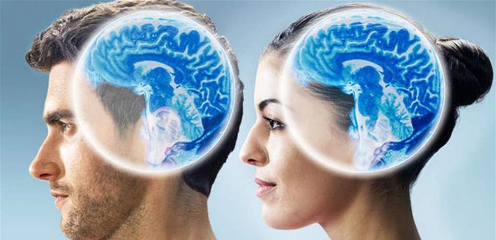 دراسة لافتة.. متى يبدأ الاختلاف بين الرجل والمرأة؟