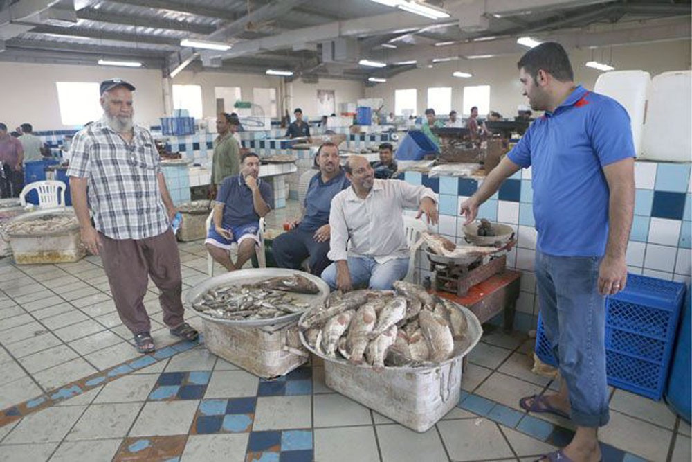 الثروة السمكية: كميات الأسماك المستزرعة في المركز الوطني وفيرة