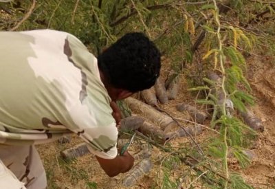 اليمن.. ضبط 80 طناً من متفجرات تنظيم القاعدة