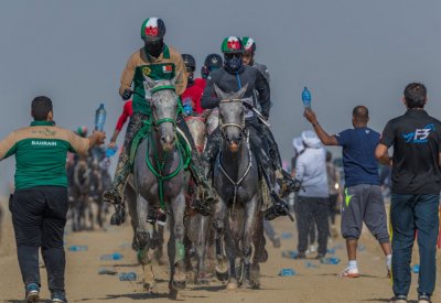انطلاق بطولة ناصر بن حمد للقدرة بسباق 40 و 80 كيلومتر محلي وتأهيلي