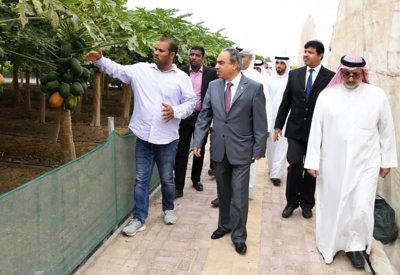 وزير الأشغال: نسعى للتغلب على محدودية الموارد الطبيعية باعتماد التقنيات الزراعية الحديثة