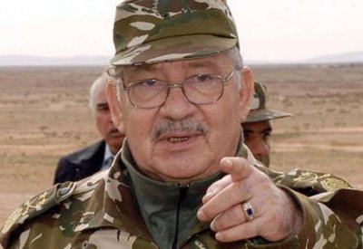 قائد الجيش الجزائري: الجيش سيدعم الفترة الانتقالية