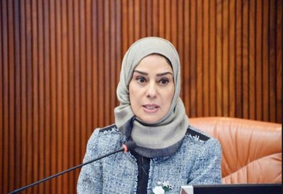 زينل : ندعو لمحاسبة الأصوات العراقية غير المسئولةوالمسيئة للعلاقات