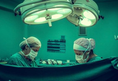  تجربة مثيرة للجدل .. علماء يطورون أعضاء بشرية في الحيوانات