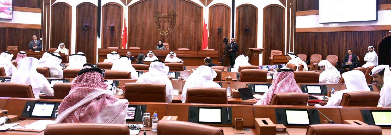 "النواب" يتمسك بقرار تعديل قانون رعاية وتأهيل المعاقين