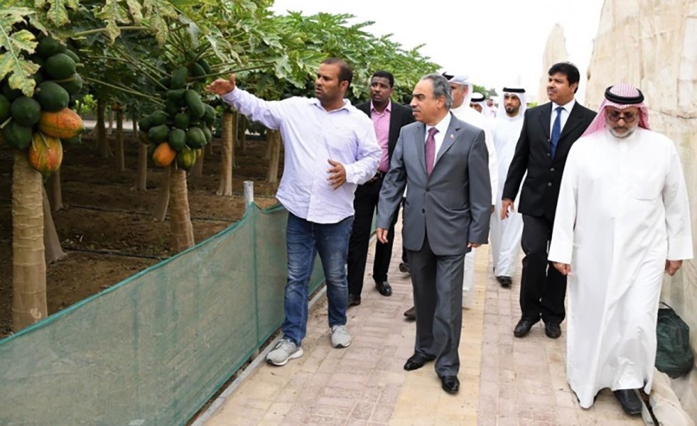 وزير الأشغال: نسعى للتغلب على محدودية الموارد الطبيعية باعتماد التقنيات الزراعية الحديثة
