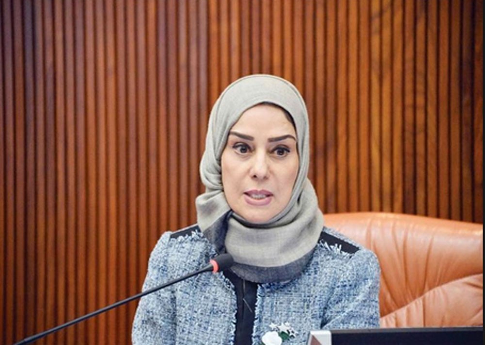 زينل : ندعو لمحاسبة الأصوات العراقية غير المسئولةوالمسيئة للعلاقات