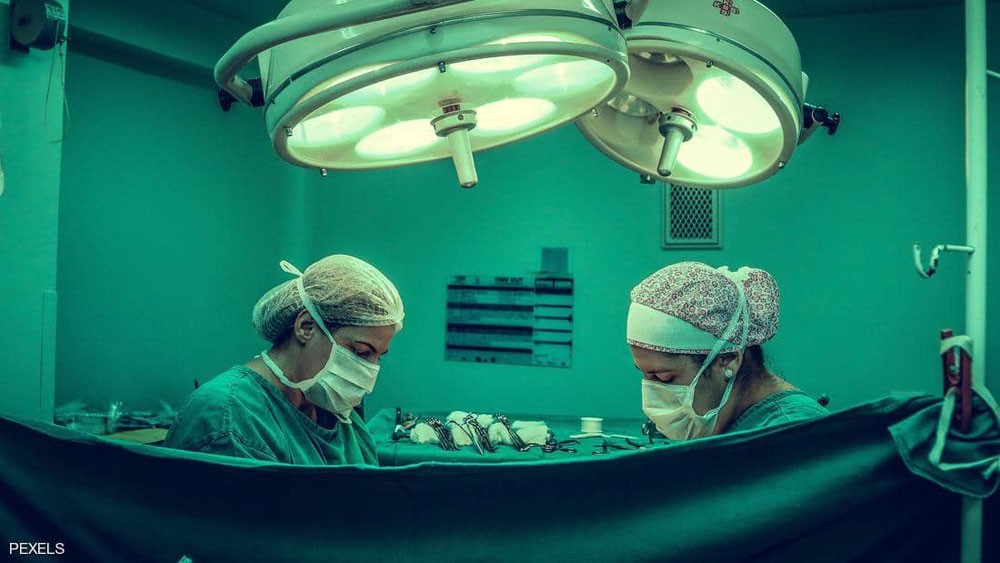  تجربة مثيرة للجدل .. علماء يطورون أعضاء بشرية في الحيوانات