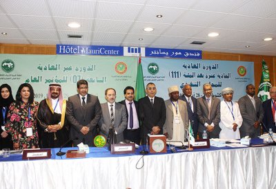 الأمين العام للجنة الوطنية تشارك في اجتماع رؤساء اللجان العربية بمنظمة الألكسو