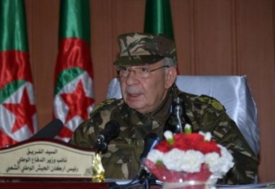 الجيش الجزائري: ليس لدينا أي طموحات سياسية