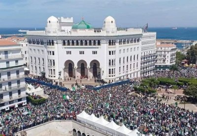 الجزائر.. المجلس الدستوري يتجه لإلغاء الانتخابات