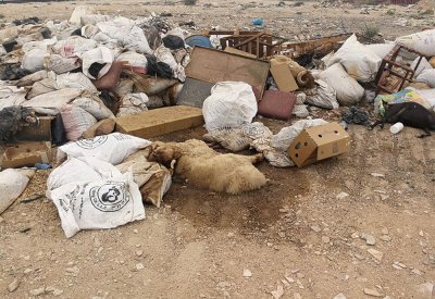 الدمستاني لـ "البلاد": وزير الأشغال لا يرد على اتصالاتي فلجأت للصحافة