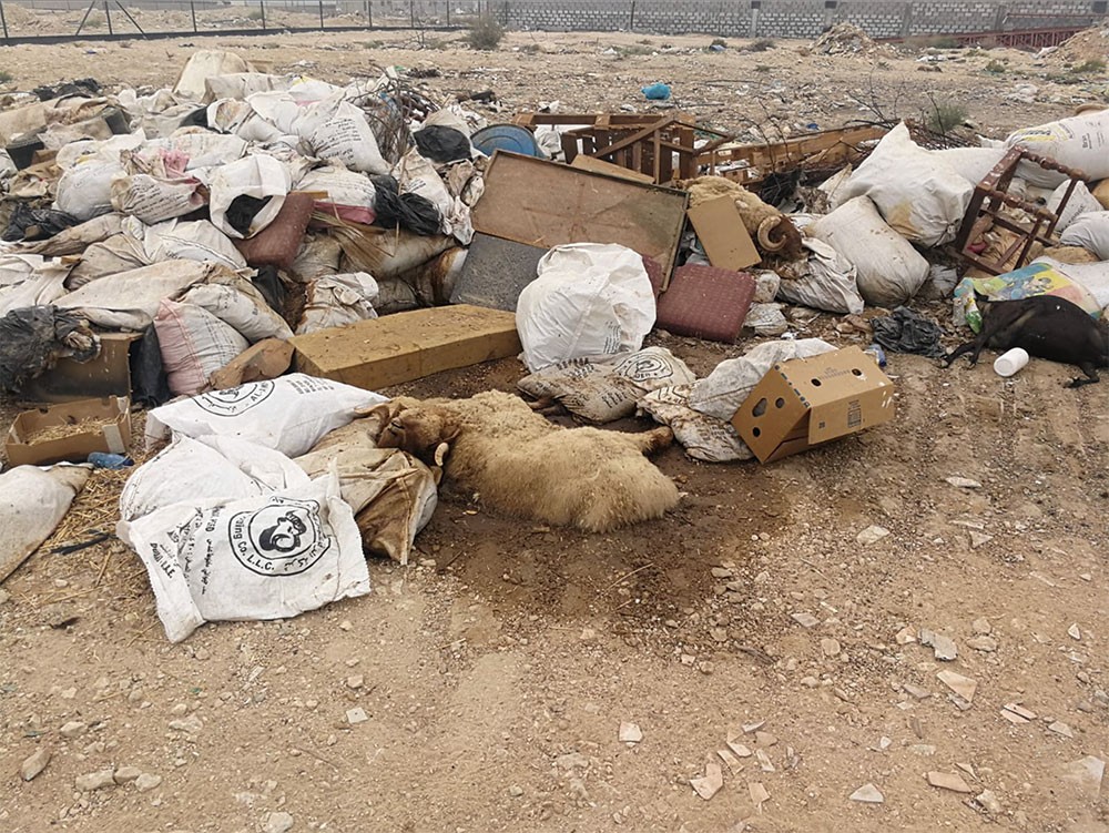 الدمستاني لـ "البلاد": وزير الأشغال لا يرد على اتصالاتي فلجأت للصحافة