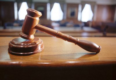 تأييد الحبس 3 سنوات لموظف زوّر مستندات تصدير شحنات نباتية