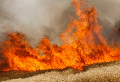 العراق.. الدفاع المدني يوضح أسباب الحرائق