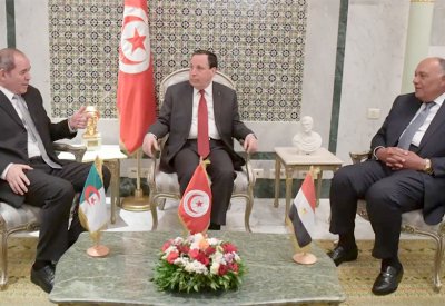 مصر وتونس والجزائر ترفض أي حل عسكري أو تدخل أجنبي بليبيا