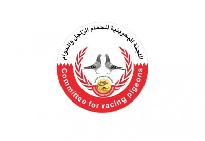 كأس مملكة البحرين للحمام الحوام يشهد 10 فائزين