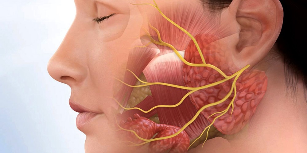 استشاريون لـ " البلاد "  هواء المكيفات يسبب الاصابة بالعصب الخامس