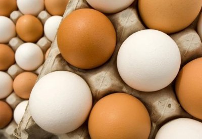 اكتشاف فائدة طبية استثنائية لقشر البيض
