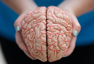  دراسة: الابتعاد عن هذه العادات يقلل خطر الإصابة بألزهايمر