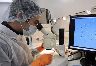 مشروع علمي لفك لغز تشوهات الأجنة