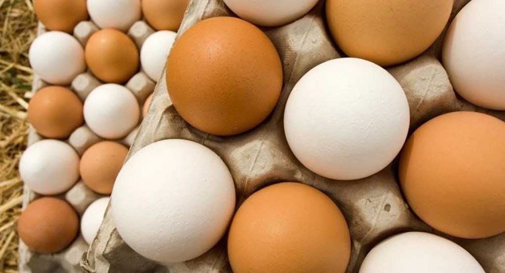 اكتشاف فائدة طبية استثنائية لقشر البيض