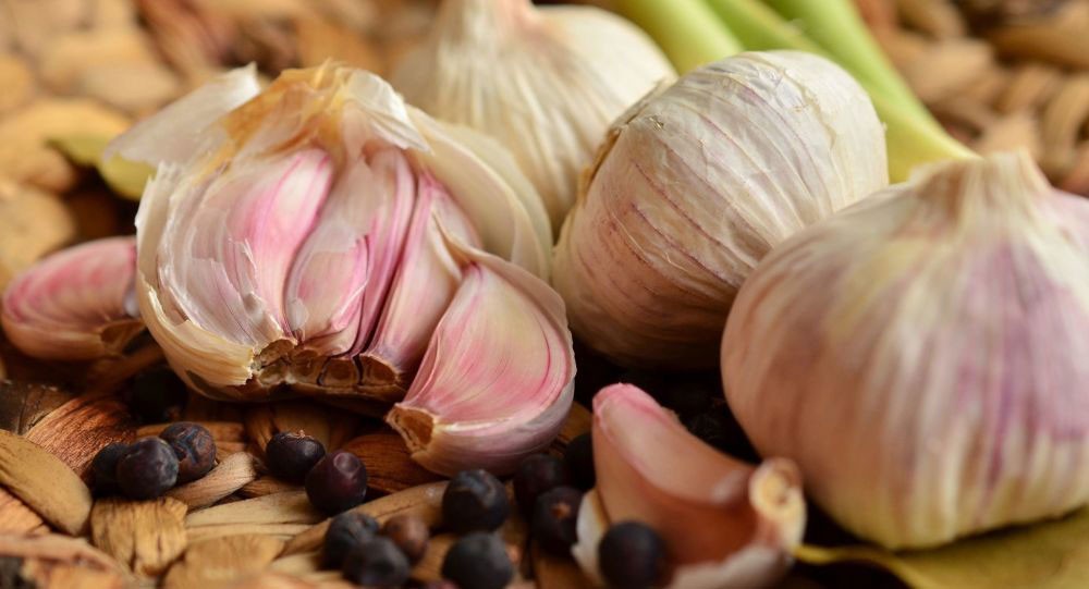 فوائد الثوم لكبار السن