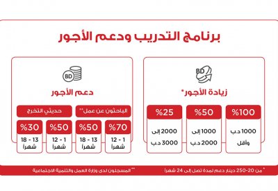 تمكين تؤكد على استمرارية دعم البرنامج الوطني للتوظيف