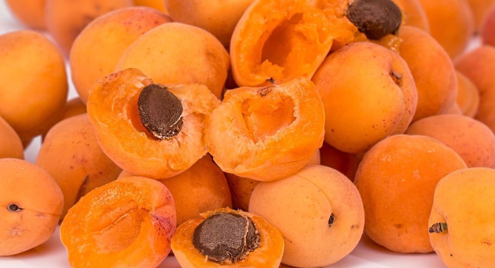 المشمش مفيد للحوامل ويمنع تطور الكثير من الأمراض