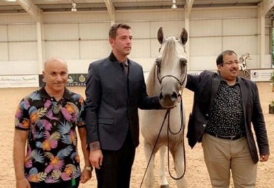 الفرس عالي فريد تحرز ذهبية بطولة بريطانيا لجمال الخيل العربية