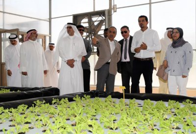 وزير البلديات يؤكد أهمية الشراكة مع القطاع الخاص للنهوض بالأمن الغذائي