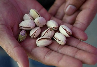 هل يضر "التحميص" بالقيمة الغذائية للمكسرات؟