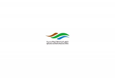 الأحد بدء تلقي طلبات صيادي الروبيان تنفيذاً لقرار مجلس الوزراء