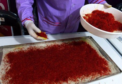  ما لا تعرفه عن الزعفران.. البهار الأغلى في العالم 