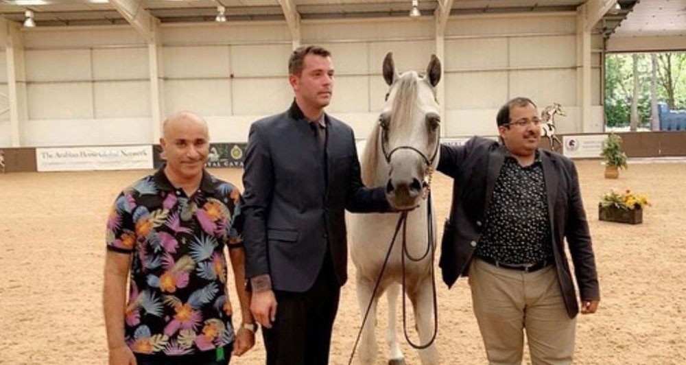 الفرس عالي فريد تحرز ذهبية بطولة بريطانيا لجمال الخيل العربية