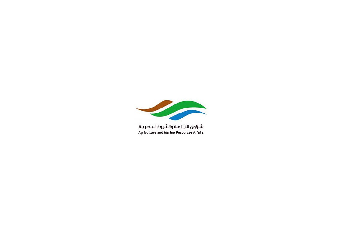الأحد بدء تلقي طلبات صيادي الروبيان تنفيذاً لقرار مجلس الوزراء