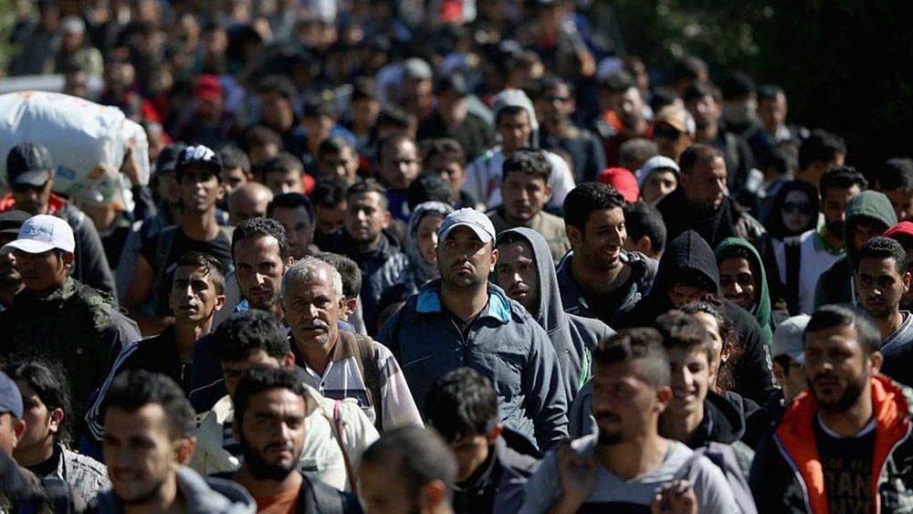 بسبب الهجرة.. وزير داخلية ألمانيا يضع أوروبا أمام "خيارين"