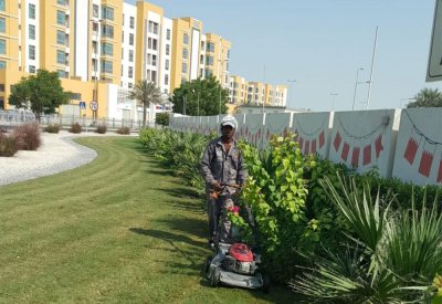 البلديات: نهتم بصيانة المزروعات سنويا وفق برنامج زمني