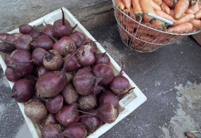 لشتاء "بدون أمراض".. 3 أغذية تعزز مناعة الجسم