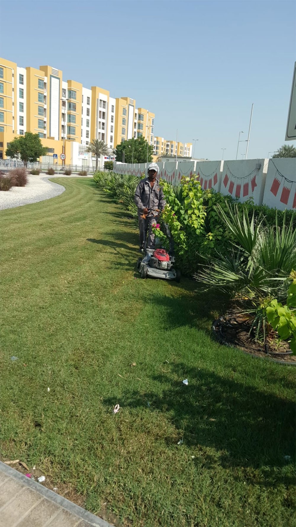 البلديات: نهتم بصيانة المزروعات سنويا وفق برنامج زمني