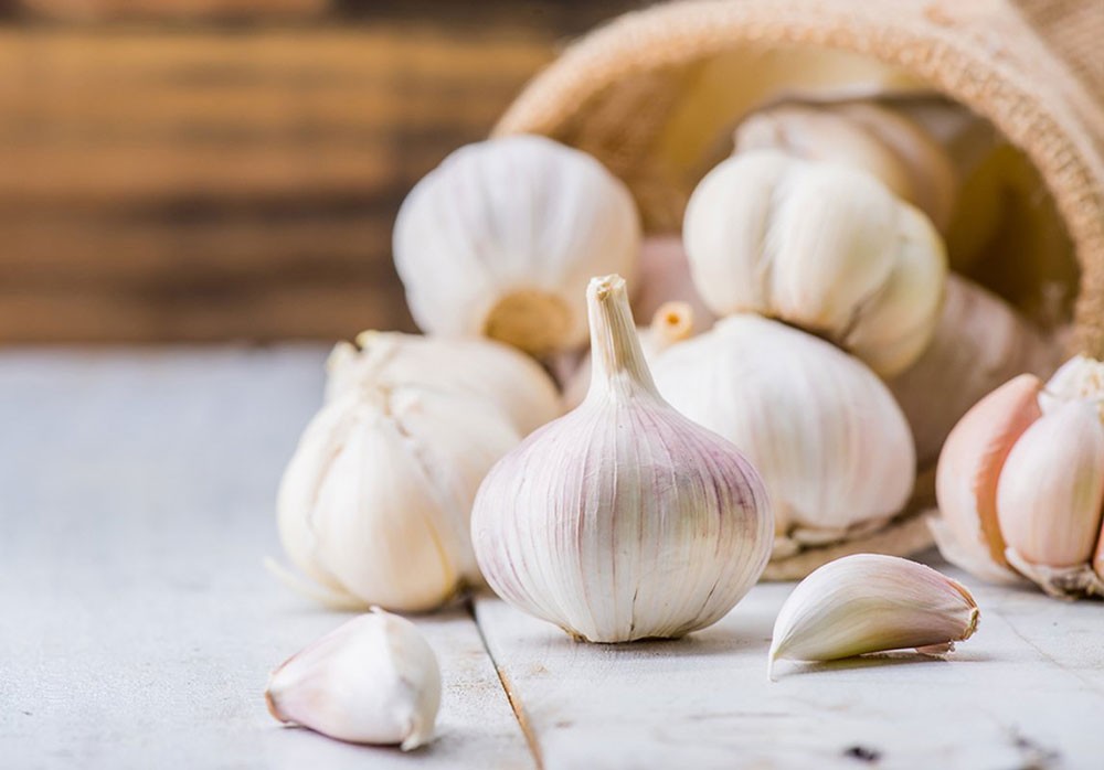 الثوم يعزز صحة الأمعاء ويساعدك على العيش لفترة أطول