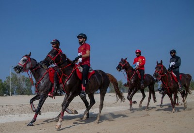 الاتحاد الملكي يدخل المراحل الأخيرة لانطلاق بطولة العيد الوطني للقدرة