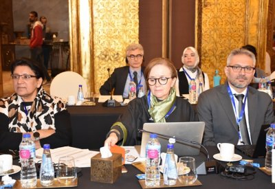 جامعة الخليج تشارك في اجتماع الشراكة العربية للحد من مخاطر الكوارث بالقاهرة