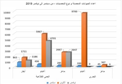 "الثروة الحيوانية": تحصين 30 ألفاً من الحيوانات ضد الحمى القلاعية والجدري