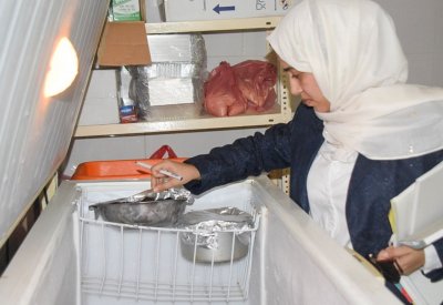 "الصحة" تنظم حملة تفتيشية على محال تحضير وبيع الأغذية