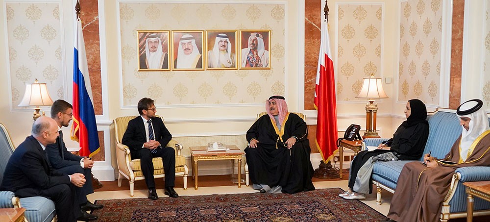 وزير الخارجية يستقبل مستشار نائب رئيس وزراء روسيا الاتحادية