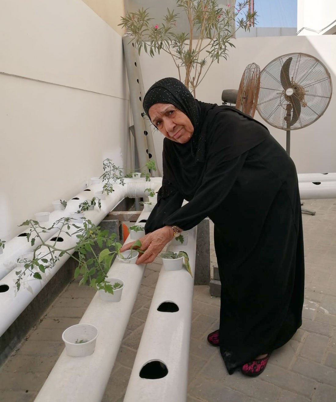 "المحرق لرعاية الوالدين" تطلق مشروع للتشجير "بالزراعة المائية"