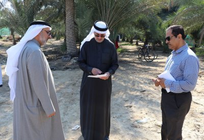 أبوالفتح: زراعة 3958 فسيلة نخيل حتى يناير 2020