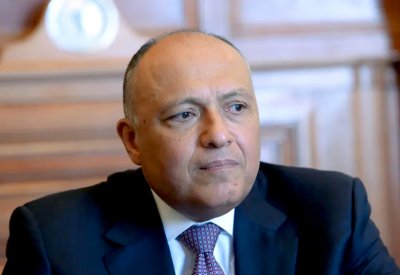 شكري يرد على تركيا: مصر لها حدود برية وبحرية مع ليبيا