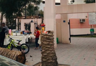 بالفيديو: نجاة طفل جراء سقوط نخلة بحديقة في عالي.. والأب يقدم بلاغًا ضد البلديات